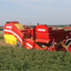   Grimme 