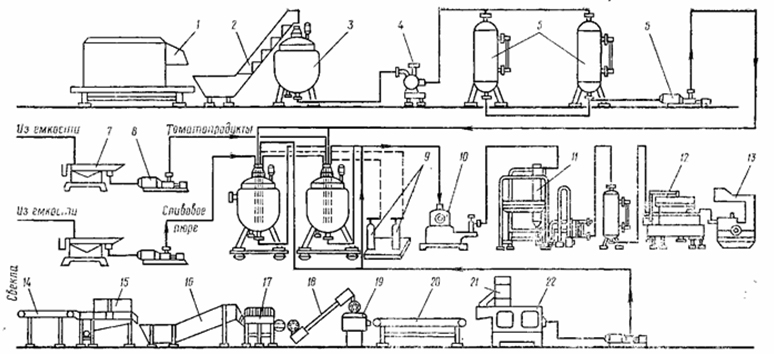 Реферат: Технология производства томатного сока